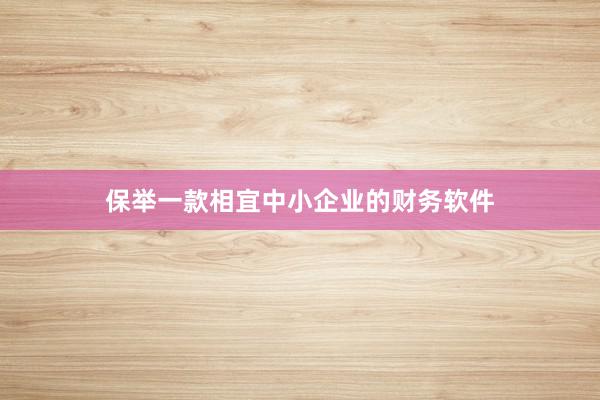 保举一款相宜中小企业的财务软件